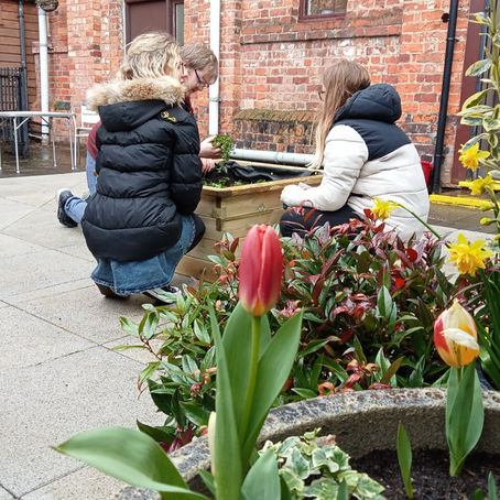New Shoots - Rekindle Community Garden Gets Growing