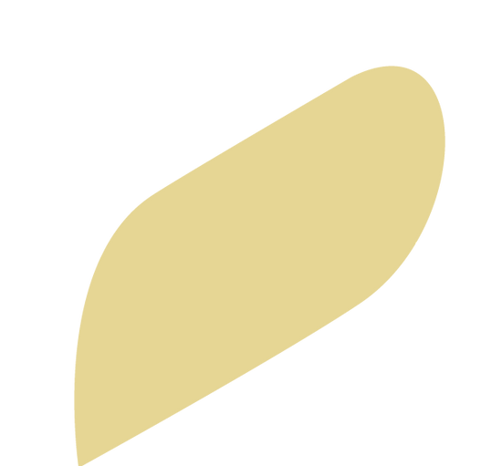 Form_logo 2.png