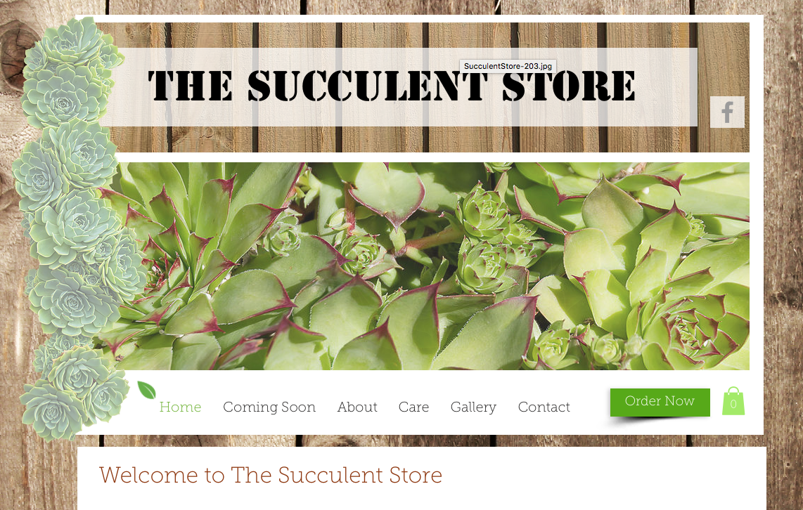 The Succulent Store
