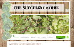 The Succulent Store