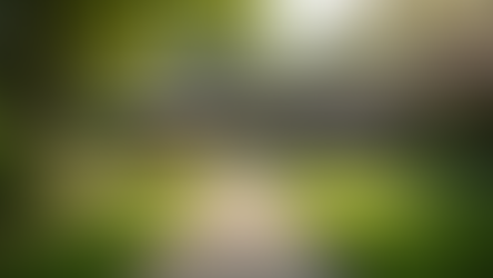 Gartenplanung für Ihr Traumprojekt