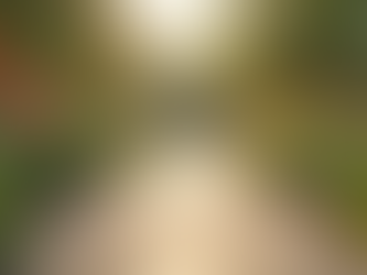 Building Community Connections for Disabled Individuals