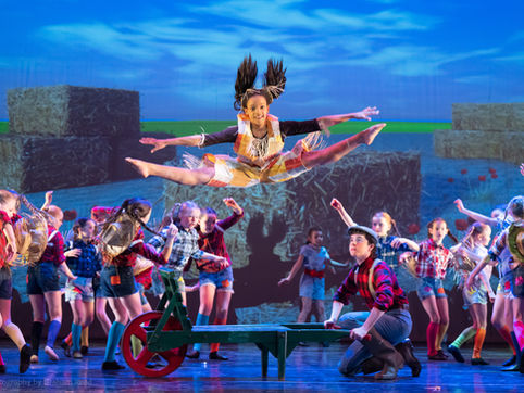 Term 3: News and Updates