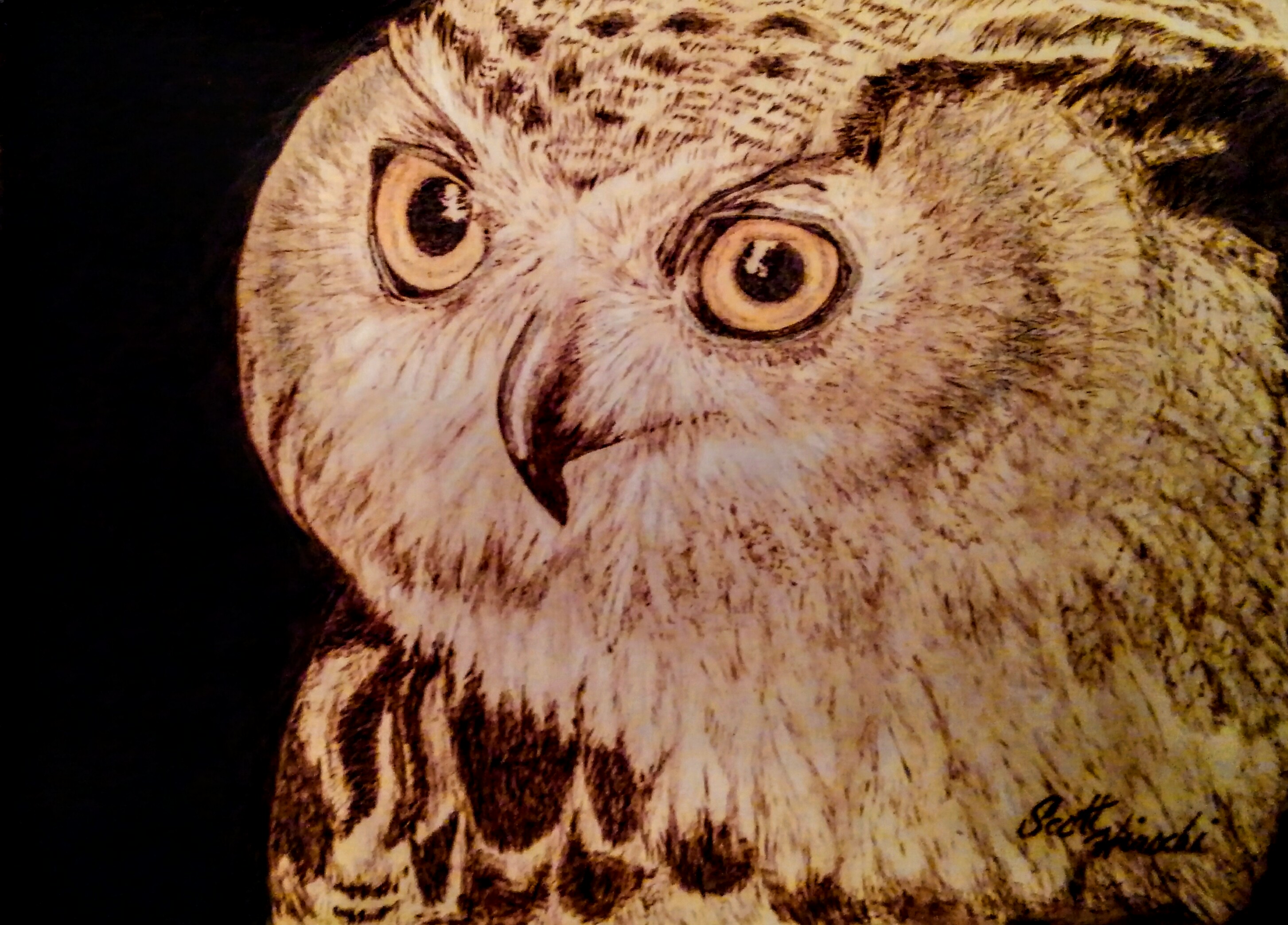 Night Vision