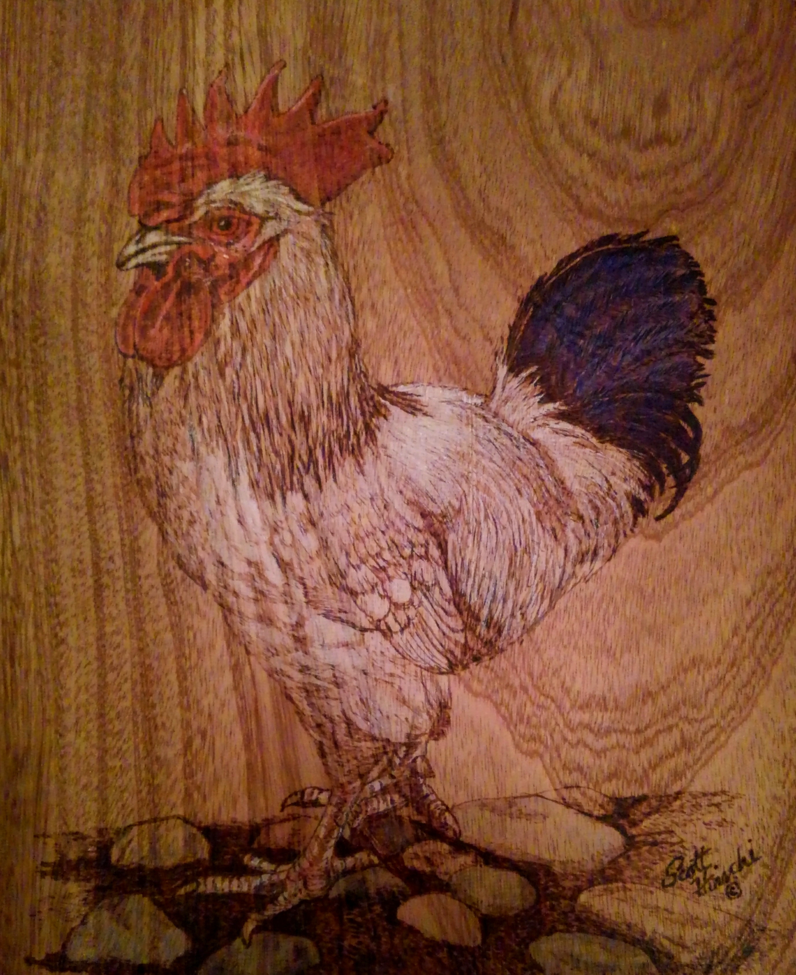 The Colonel