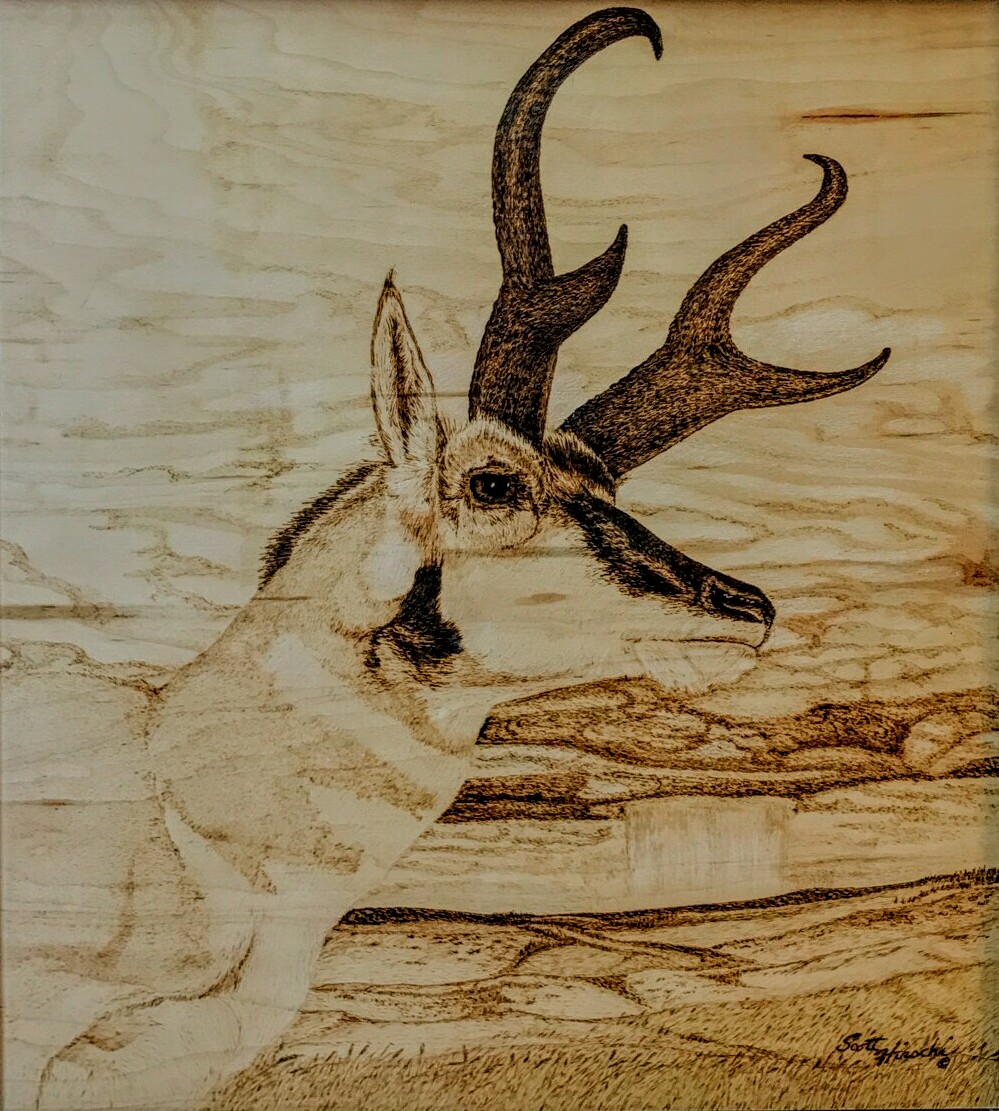 "Vantage Point"