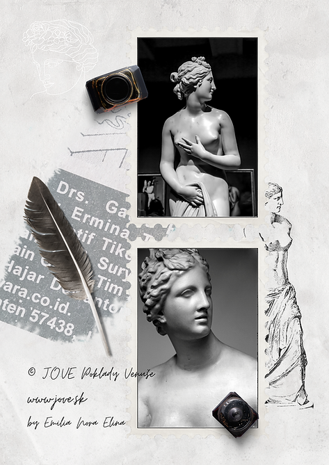 PREBUDENIE VNÚTORNEJ BOHYNE www.jove.sk