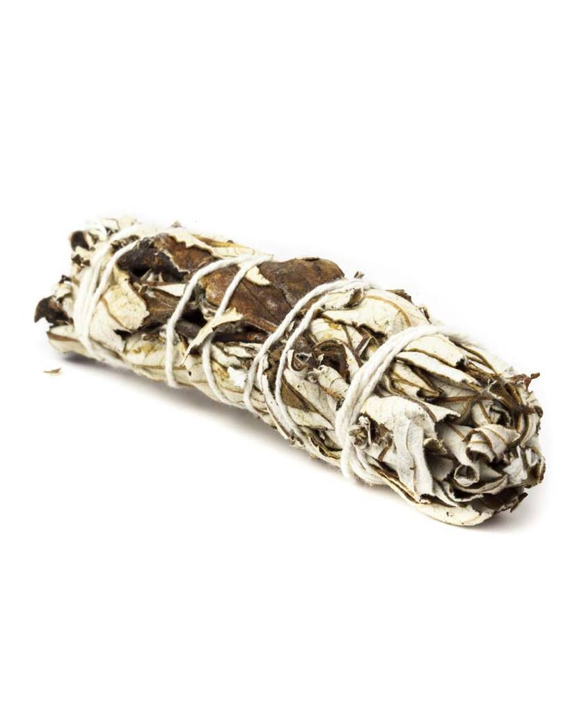 Miniatúra: YERBA SANTA ŠALVIA zväzok malý, 10cm