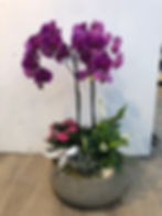 Composition avec Orchidée