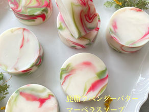 3〜4月のレッスンのご案内