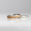 サムネイル： Marriage Ring No.17M22PTGY