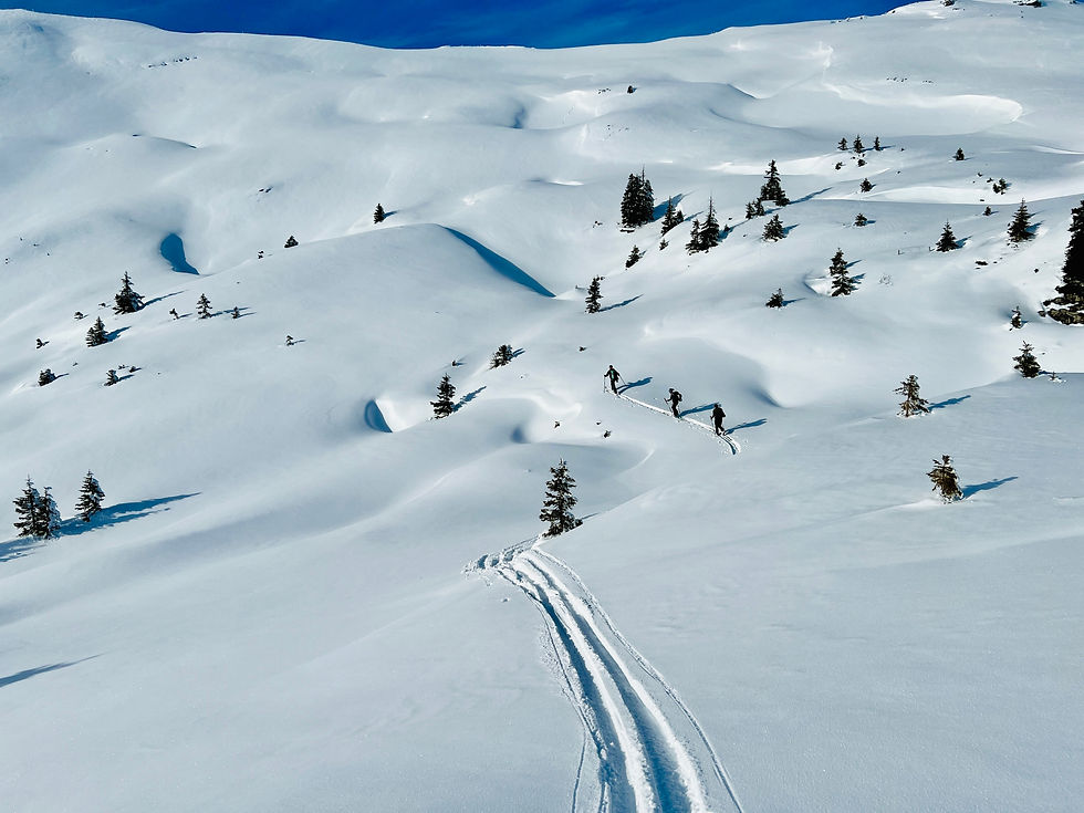 Panorama Skisafari ab Grindelwald First