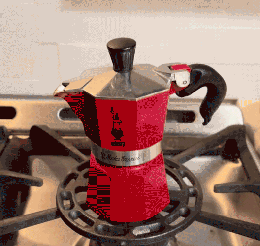 holder-flower-128.gif