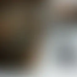 4K PTZ camera