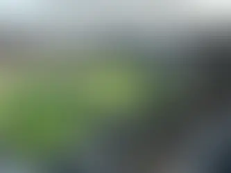 PTZ cameras