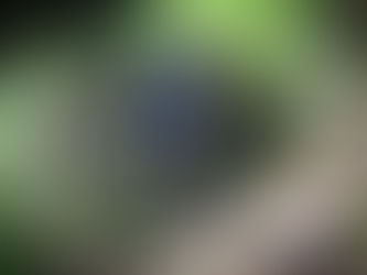 Quindío busca consolidarse como el principal destino ecoturístico del país