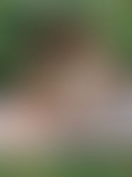 Atracciones alrededor del mundo que inspiran a las mujeres 