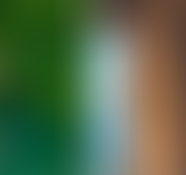 Disfrute de una escapada saludable en los centros de retiro acuáticos de Jamaica