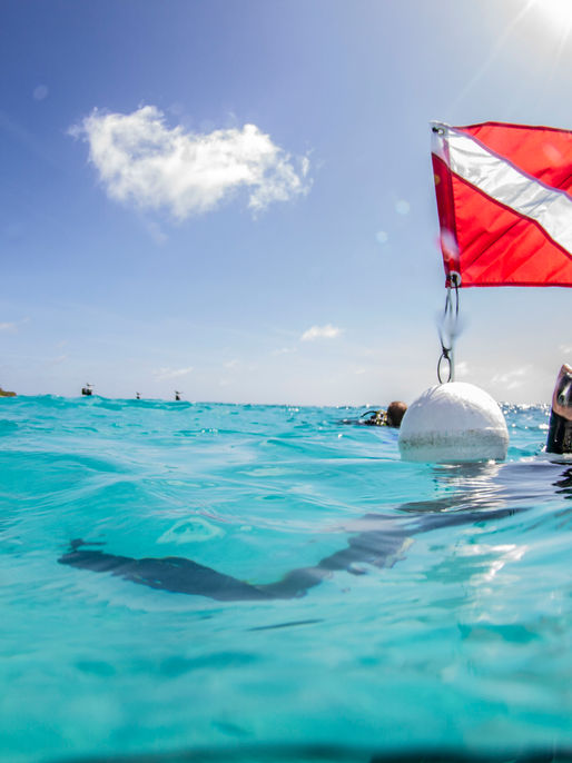 El caribe se convierte en uno de los destinos preferidos para los millennials en 2019