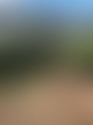 Recorre en BiciGO las siete rutas de Biciturismo implementadas en la Región Central del país