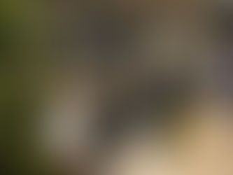 Medellín: hub del Turismo en Antioquia