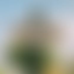 Discover What’s New in Kissimmee for 2026