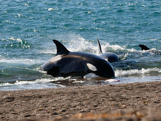 Los 5 destinos sustentables de Argentina que deberías conocer en 2021