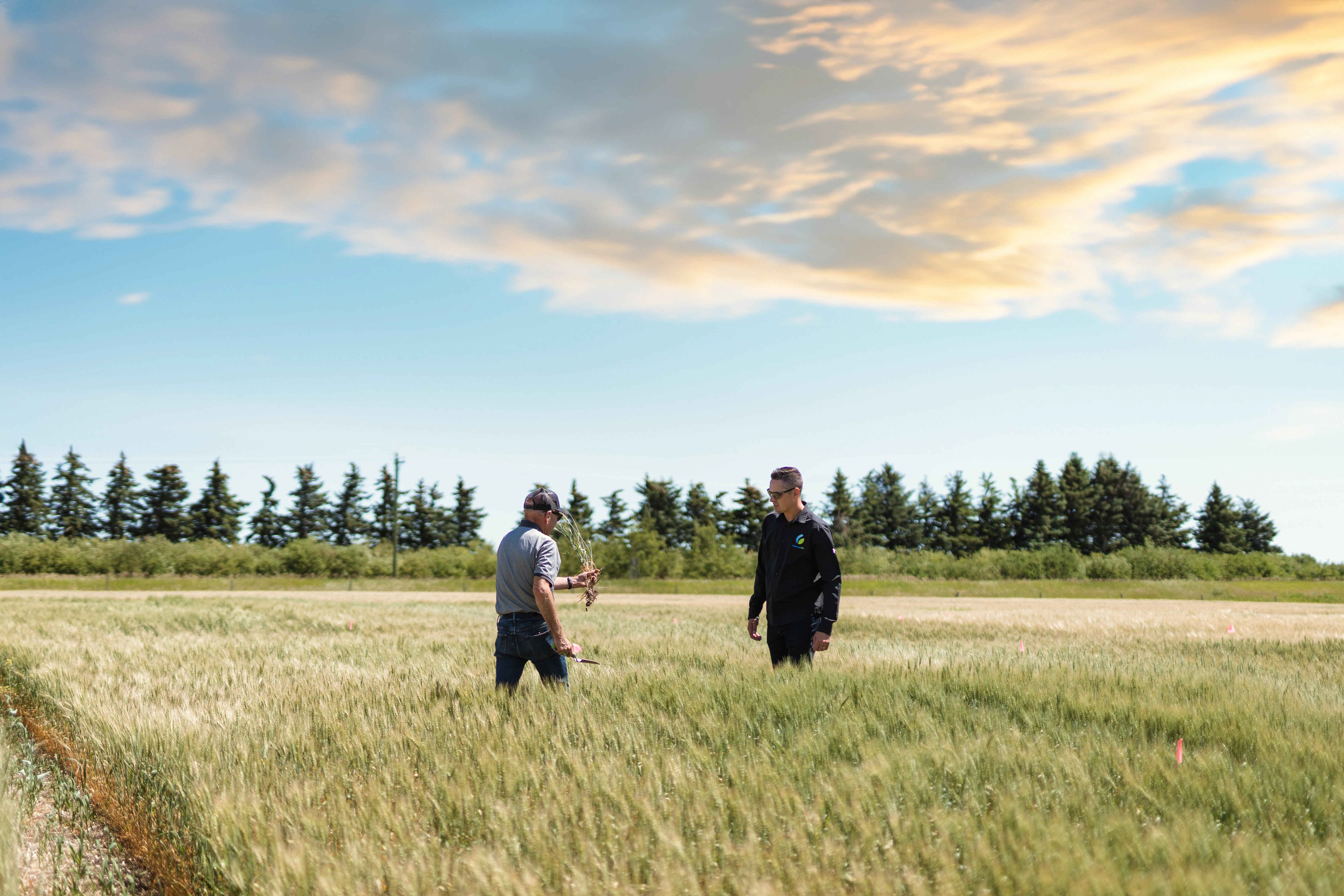 Agronomist in a field showing off a healthyplant