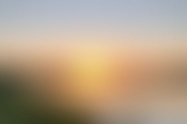 A lake at sunset surrounded by green grass and trees