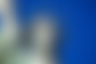 Principles Matter — Freedom