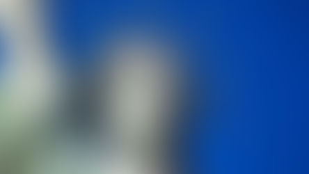 Principles Matter — Freedom