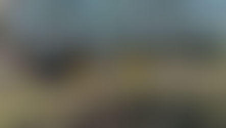 Two young children in yellow volunteer shirts, helping clean up fallen branches after a hurricane.