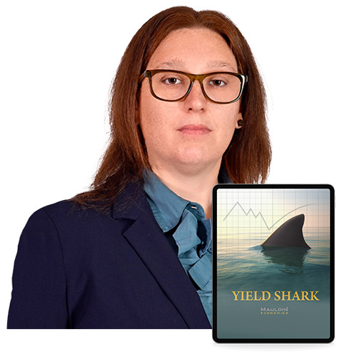 Kelly Green - editor, Yield Shark