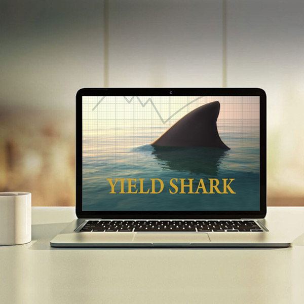 Yield Shark investment newsletter