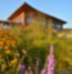 native perennial pollinator garden near a new home in Verona, Wisconsin