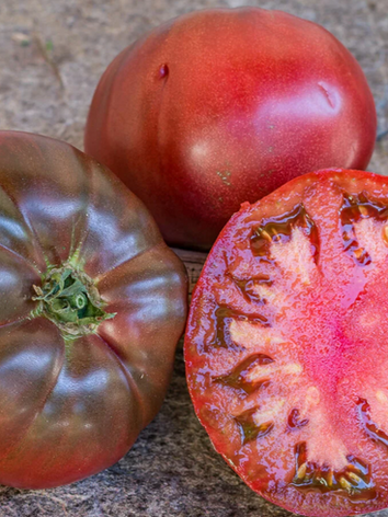 Royal purple, tomates, producteur, piègon
