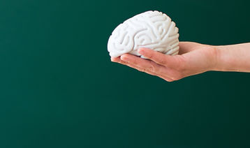 Toy Brain_edited.jpg