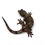 Thumbnail: PI2603 - PINE ISLAND Mniarogekko chahoua - Poss. Female (NPV)