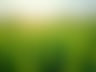 Navigating International Trade with Agro Products