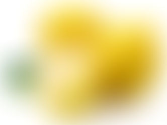 Do You Freeze Your Lemons?