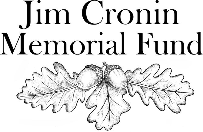 Brand New educational Art courses