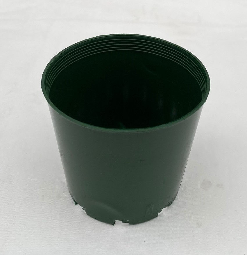 Thumbnail: 70mm plastic pots x 10 pots