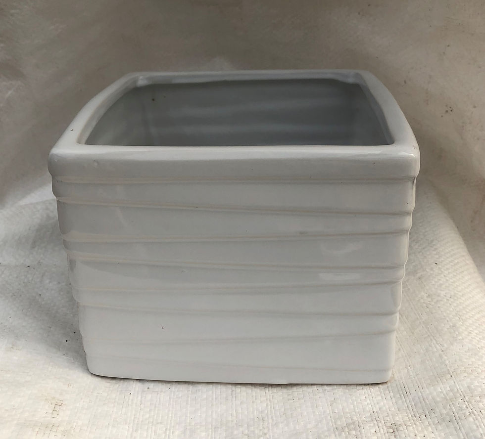 Ceramic White Square Pot - 03-STR-SQ6-WHI