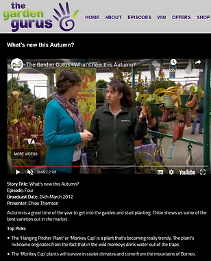 Screenshot (2).png