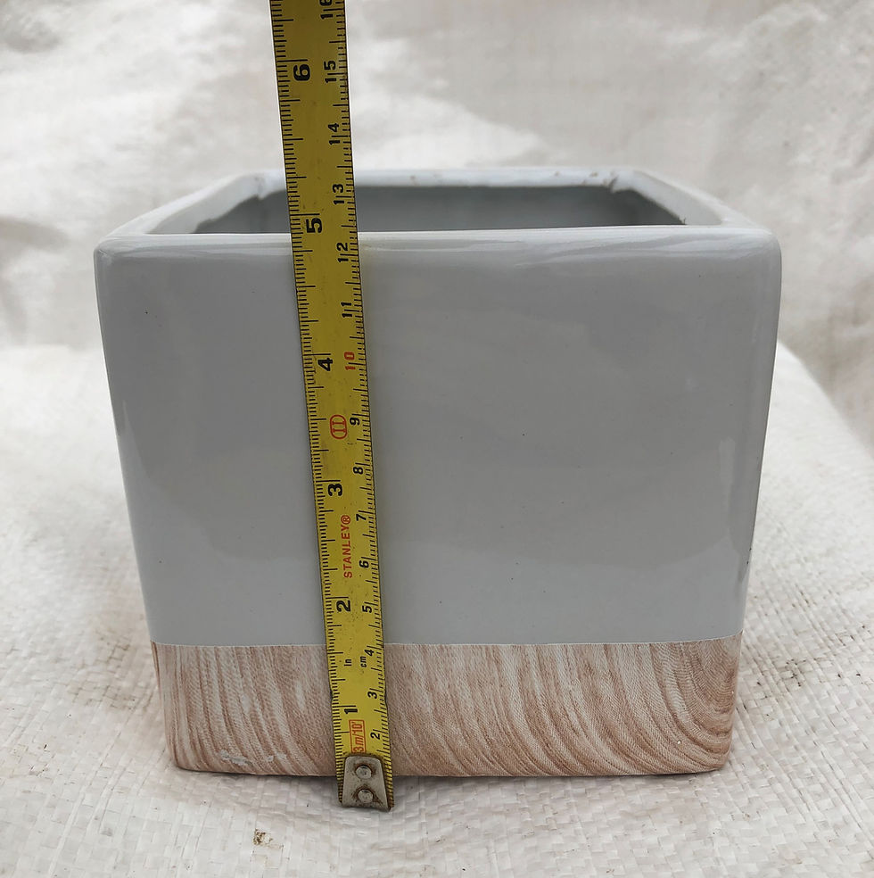 Thumbnail: Ceramic White Elegant Square Pot - 03-SQ5-ELEGANT