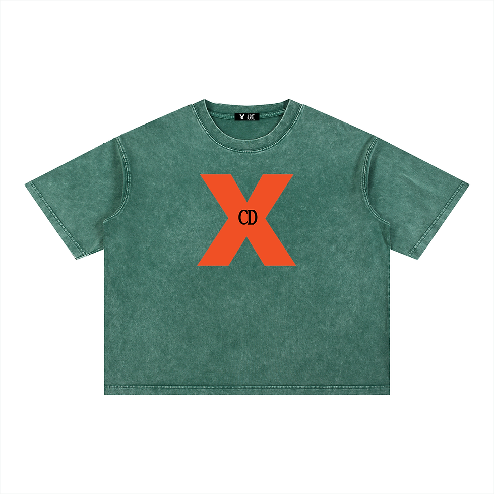 Thumbnail: Stone Wash Boxy CD T-Shirt