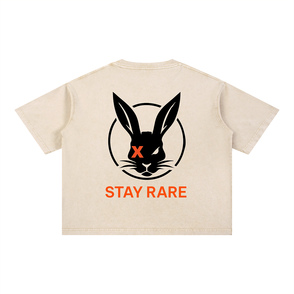 Thumbnail: Stone Wash Boxy CD T-Shirt
