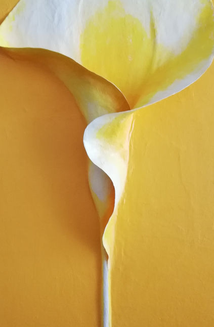 個展のお知らせ