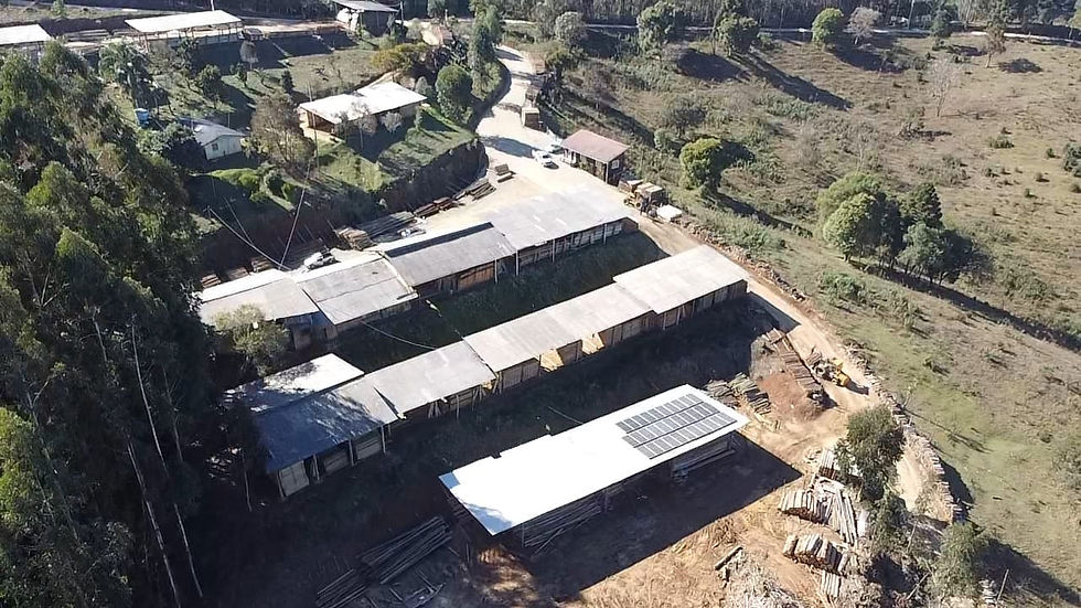 Imagem do WhatsApp de 2025-10-28 à(s) 07.46.53_24d5ac82.jpg