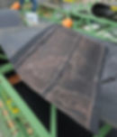 WhatsApp Image 2026-01-28 at 07.48.07.jpeg